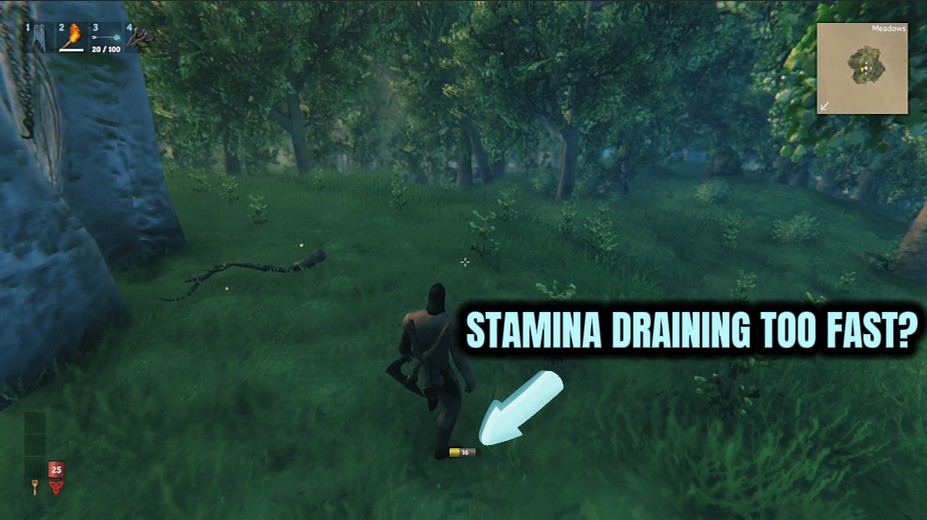 Valheim — Iron Hide (God Mode & Health) (screenshot 3)